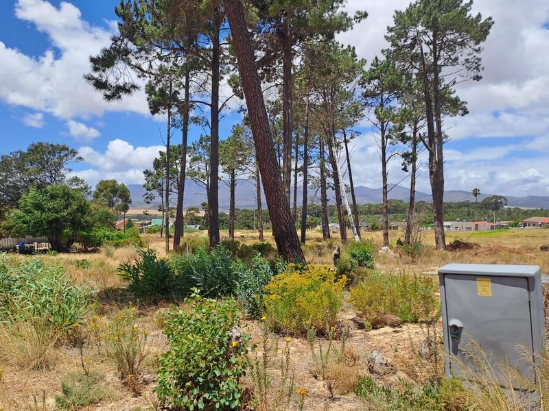 3 Bedroom Property for Sale in Bot River Western Cape